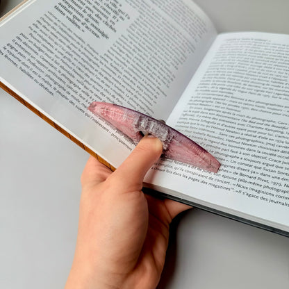 Pink & Black Resin Page Holder Set – Petri Ink Design